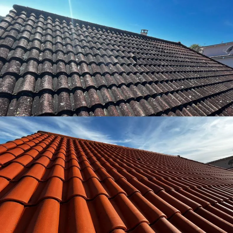 Traitement antimousse toiture